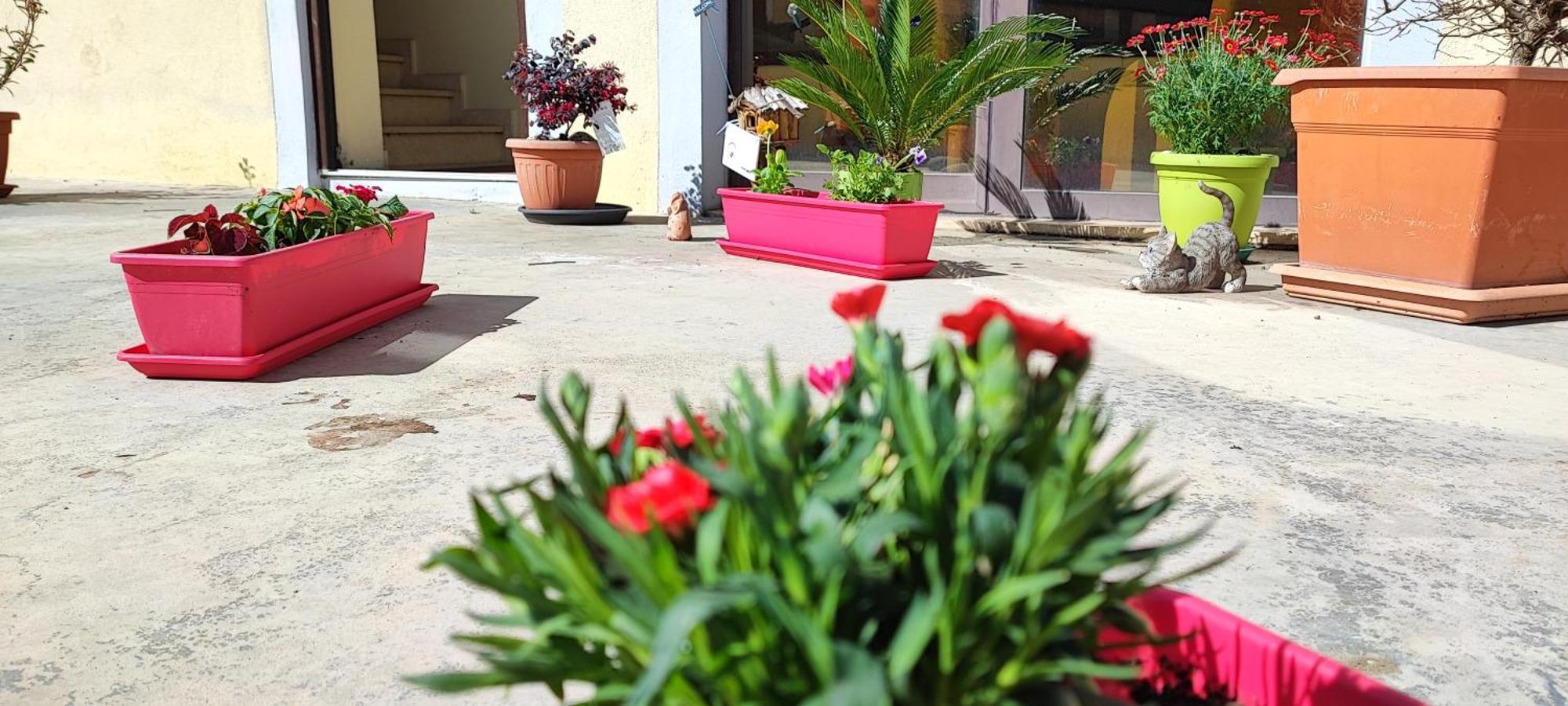 B&B Gioia Catanzaro Kültér fotó